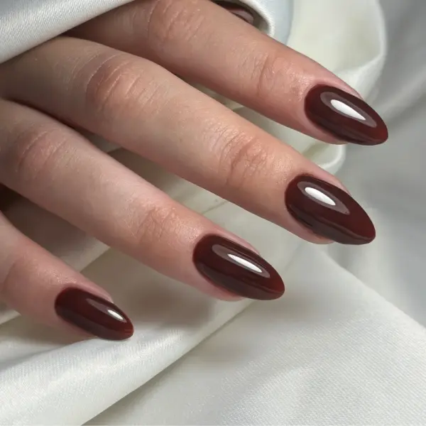 tamno smeđi čokoladni nokti trajni lak cici nails