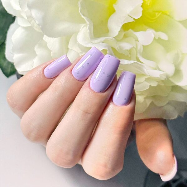 Lavander--dream-195