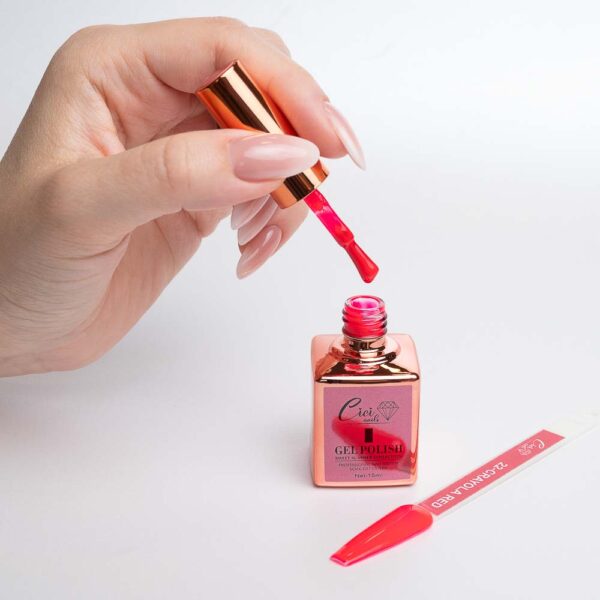 22 - Crayola red 15ml