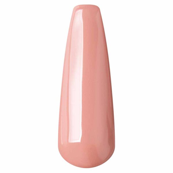Gel Polish Nut Pudding-56 Nail
