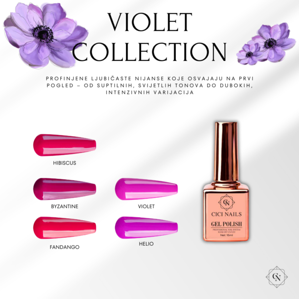 VIOLET COLLECTION