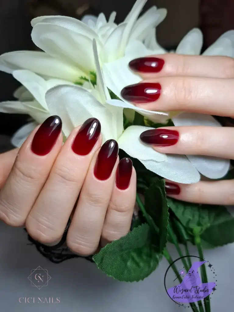 trendy red 77 crvena nijansa trajnog laka Cici nails