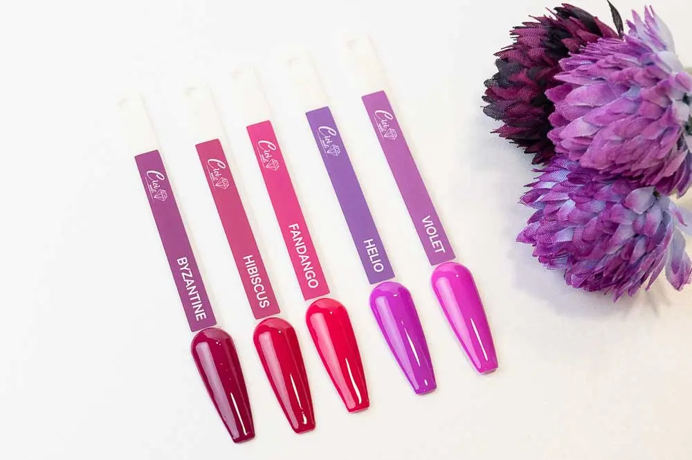 violet collection