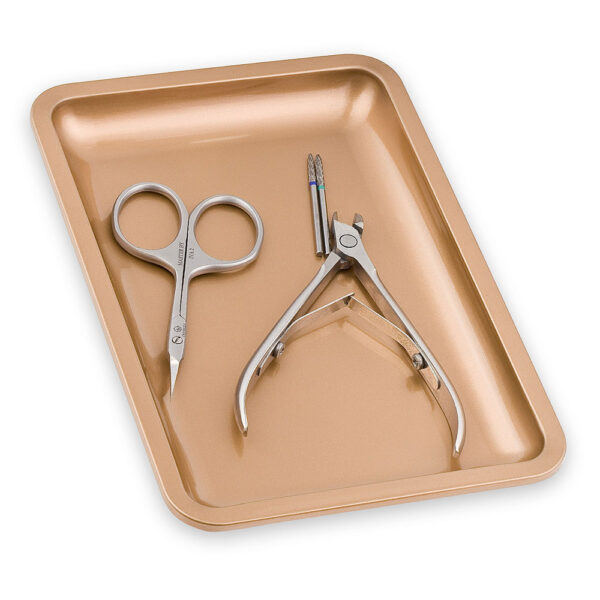 inox posudica za alate (champagne)