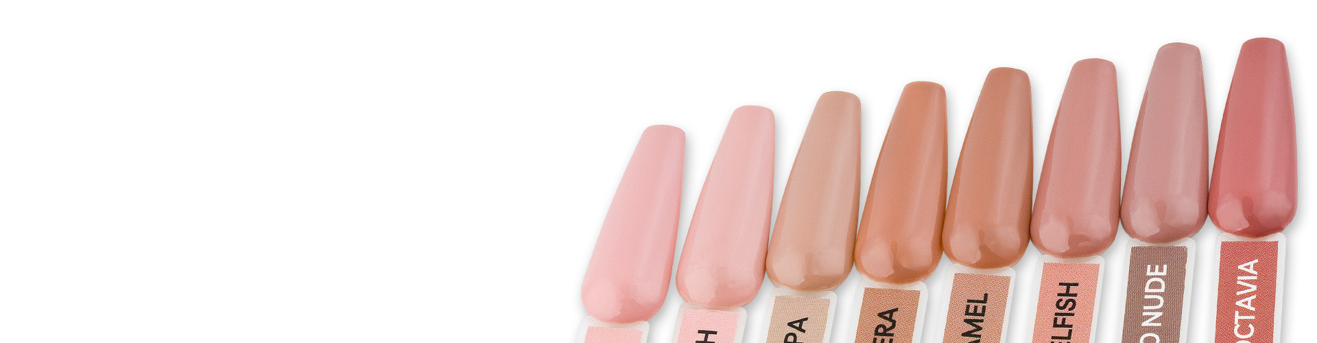nude & beige