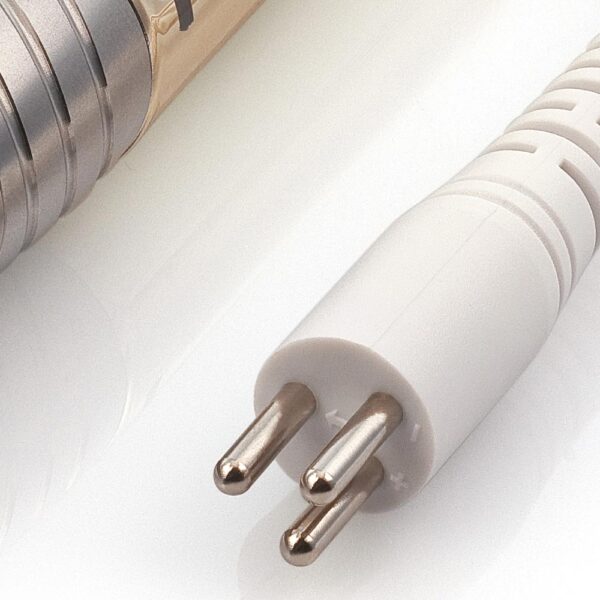 ruckica gold cici nails